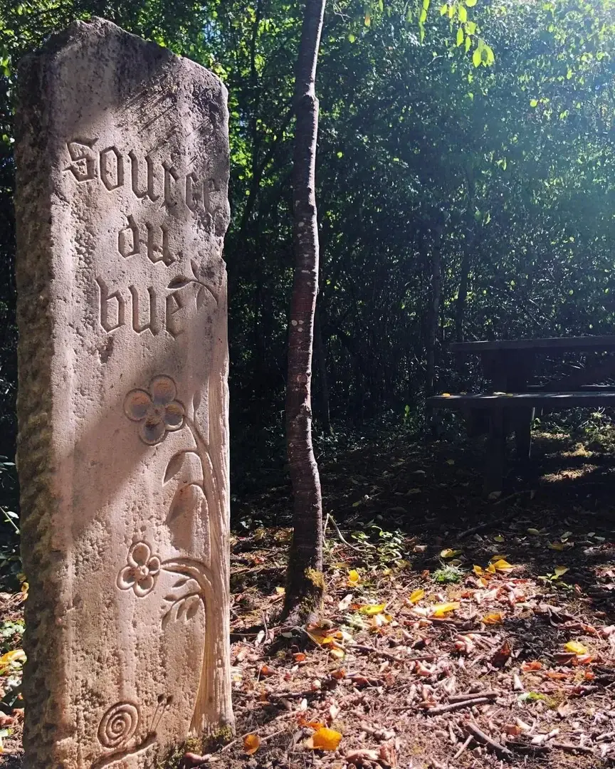 Photo de couverture de La-fille-au-cerf