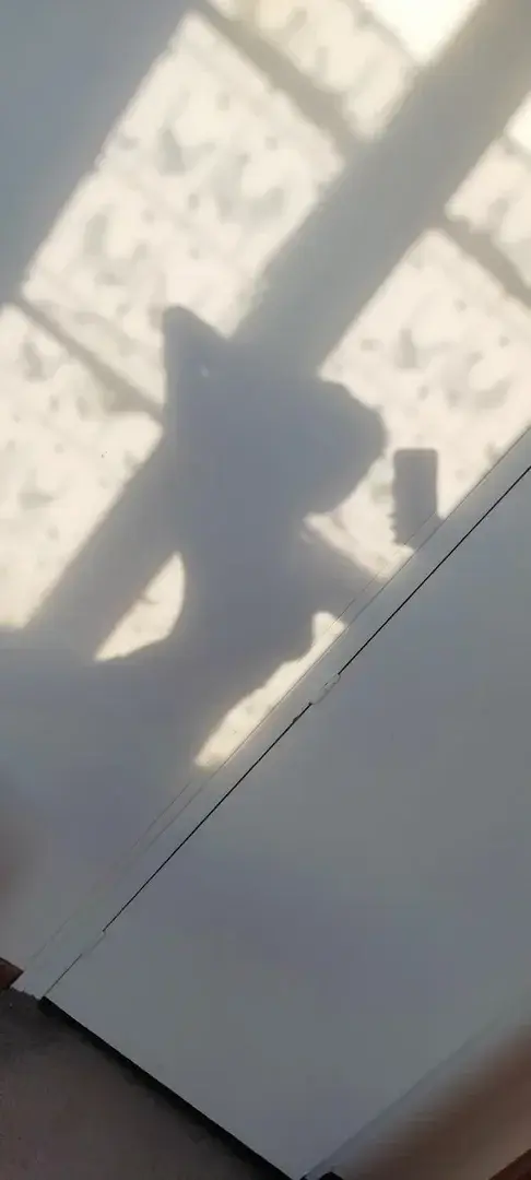 Avatar de Footloose69
