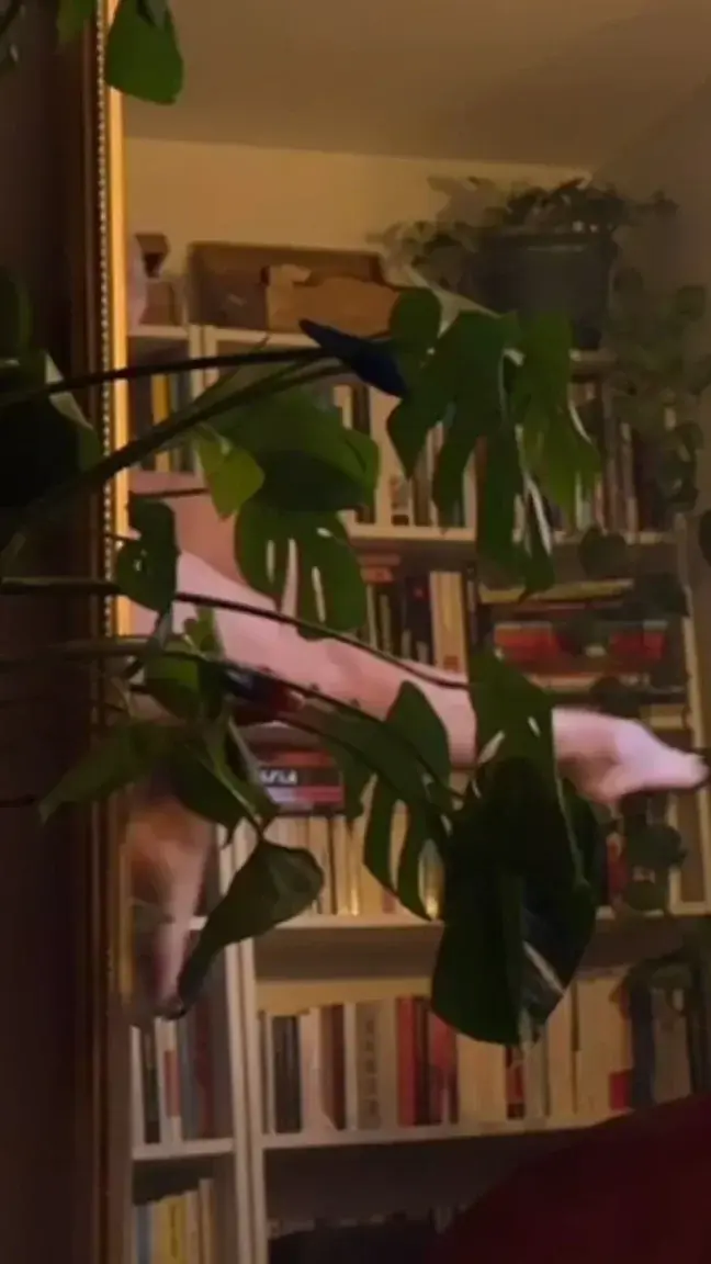 Leak & nude 1 — Rose1bzh