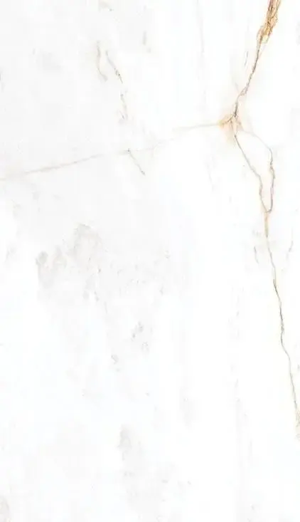 Photo de couverture de Lesjolispiedsdemanon