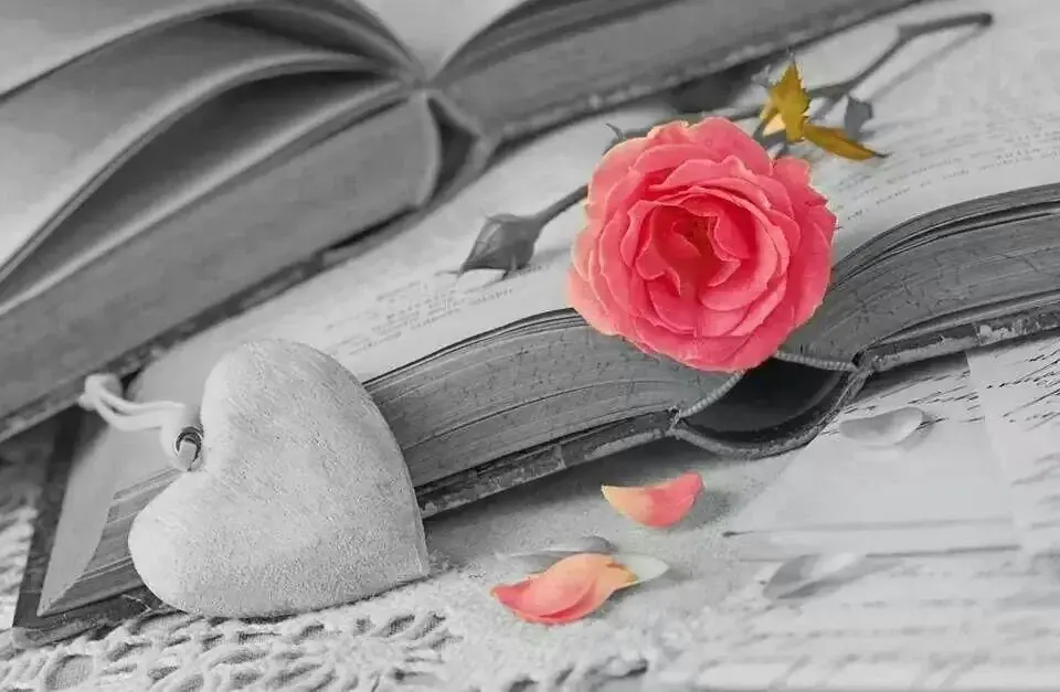Photo de couverture de Camikas