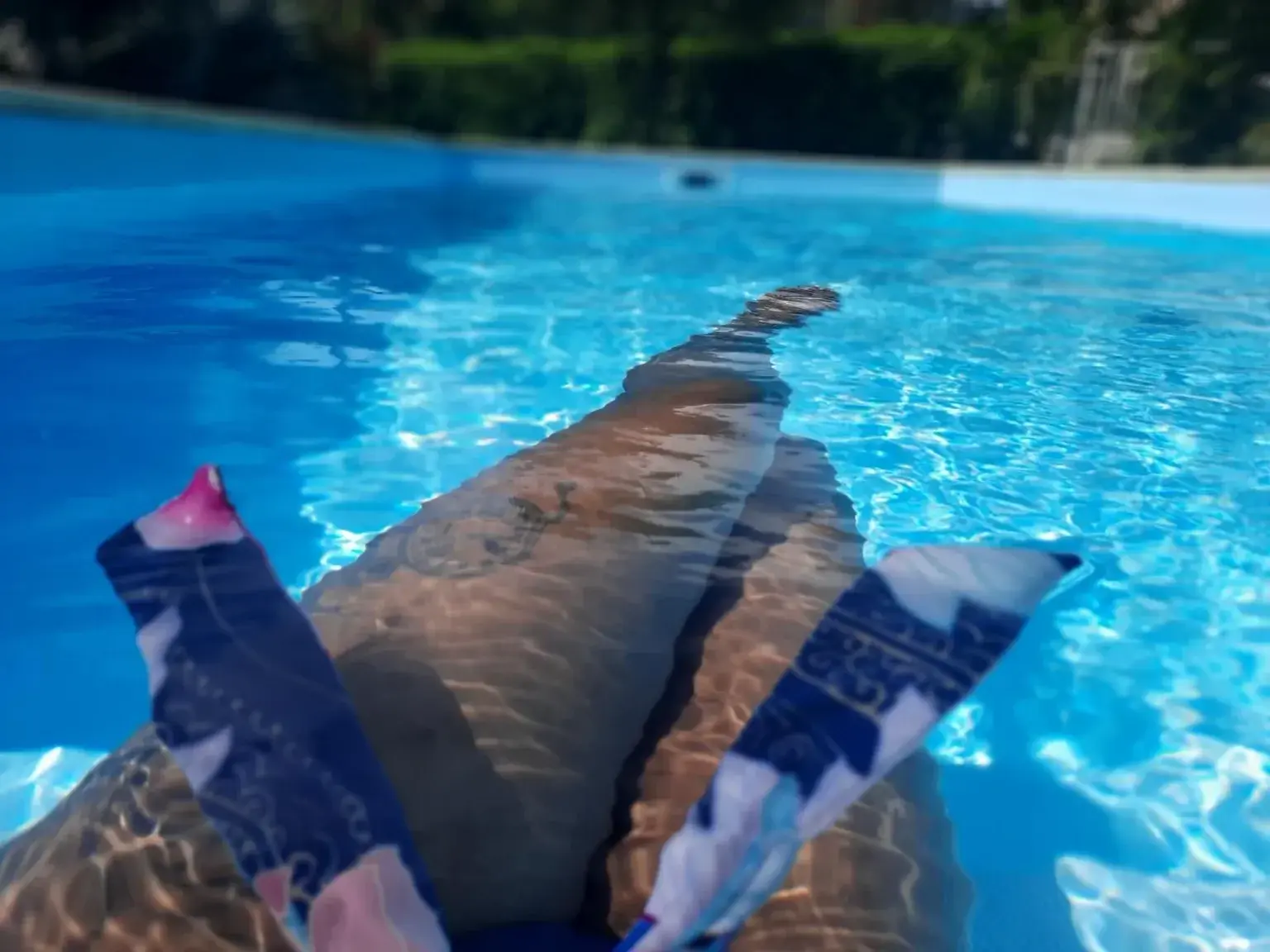 Leak & nude MYM — Jadali : « Dimanche » (MYM)