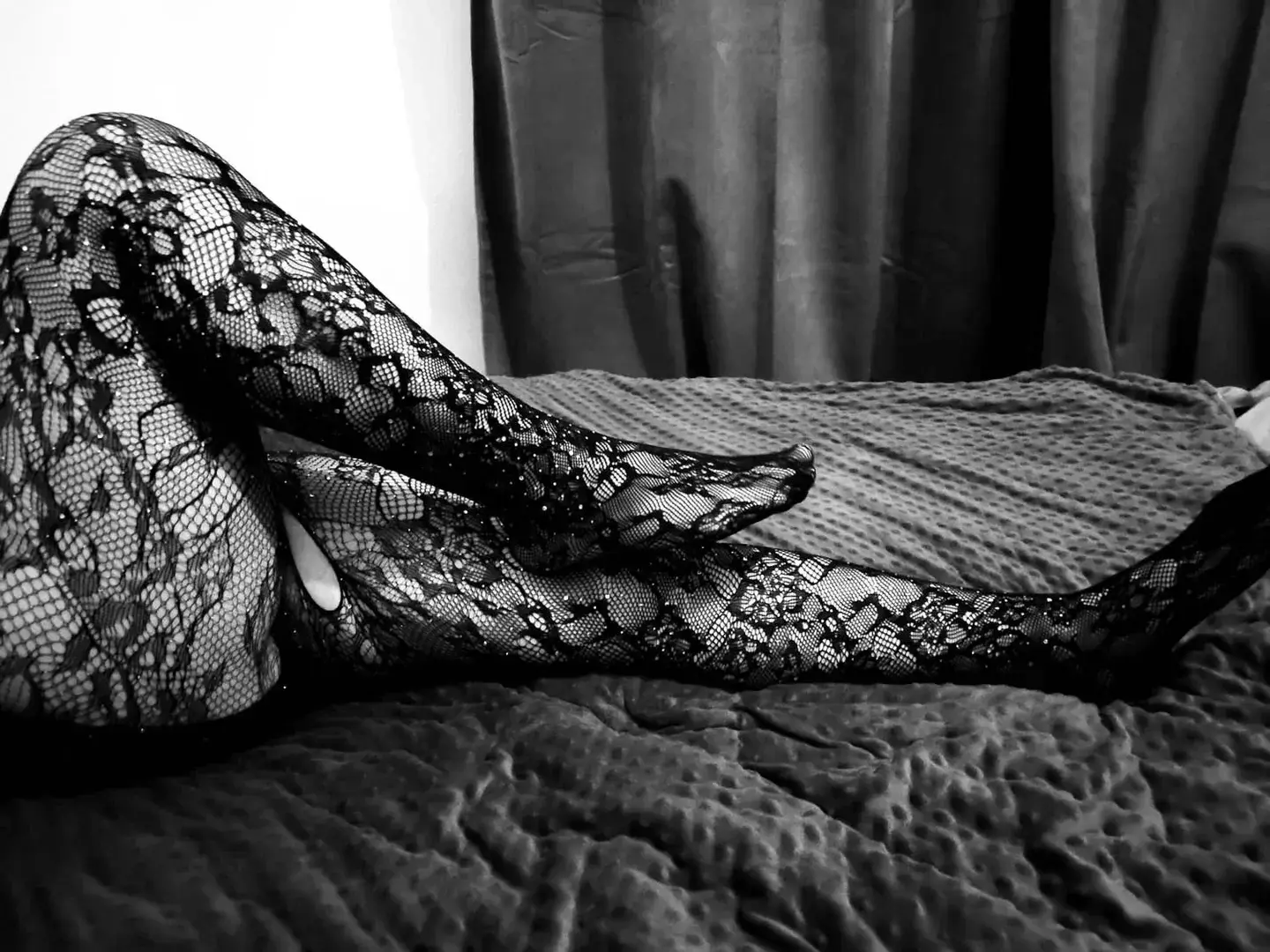 Photo de couverture de Ladylizzie