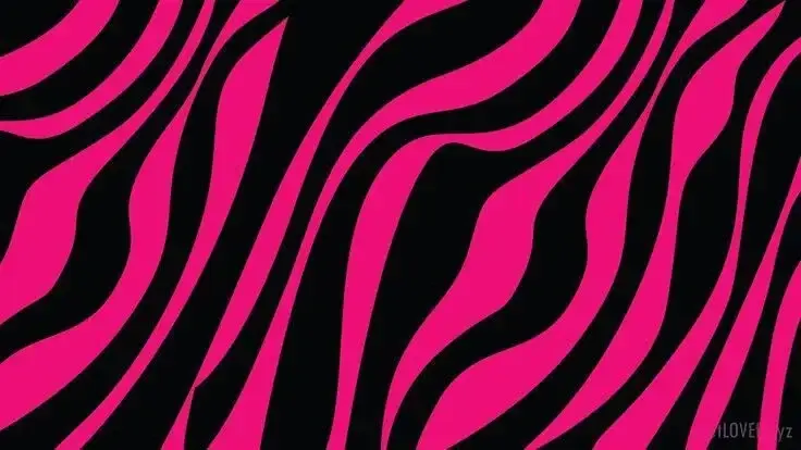 Photo de couverture de Sweetxcandy