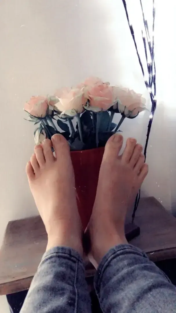 Jolies roses 🌹