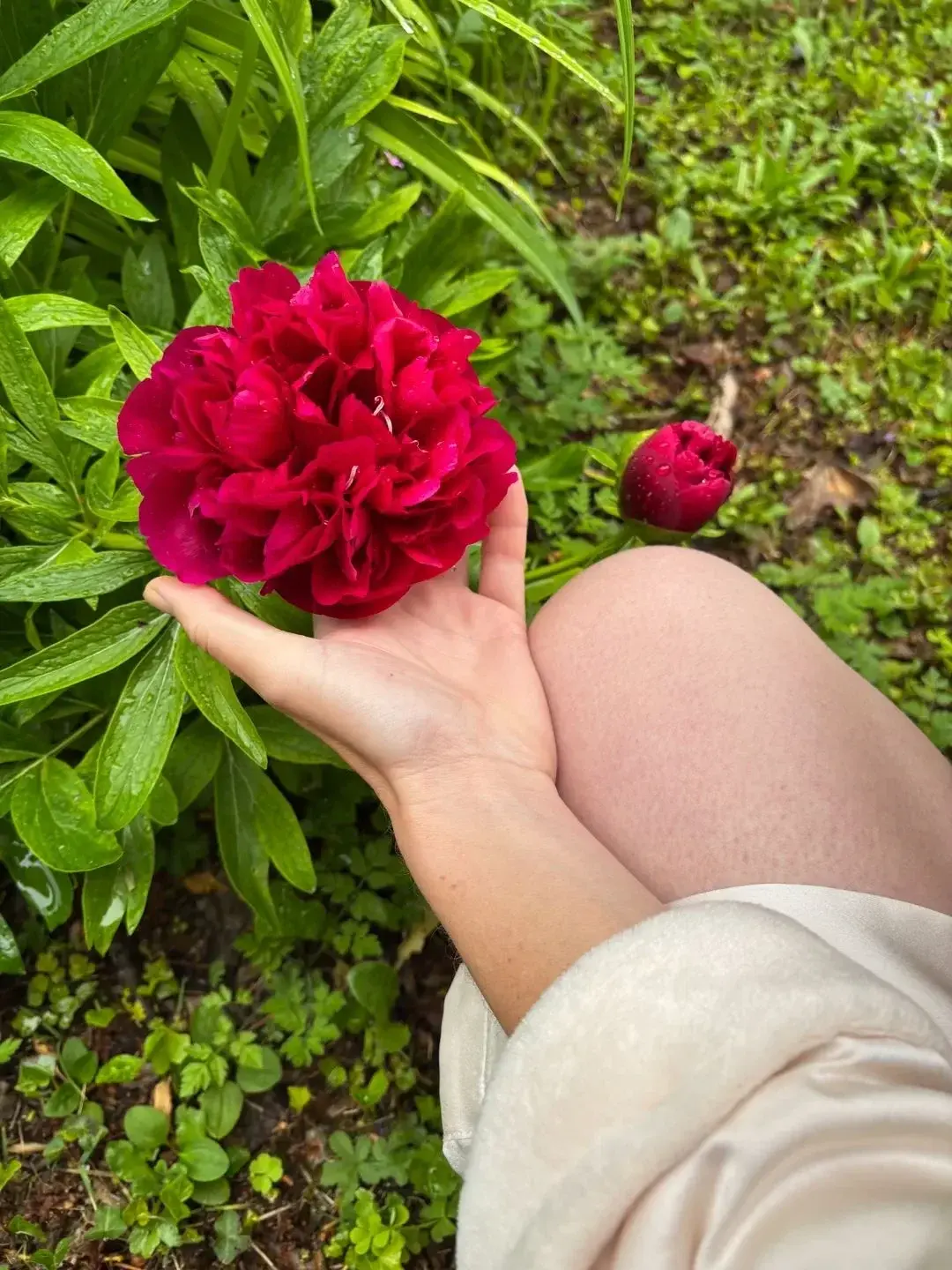 Cette jolie pivoine ne t'inspire pas quelque chose ?
