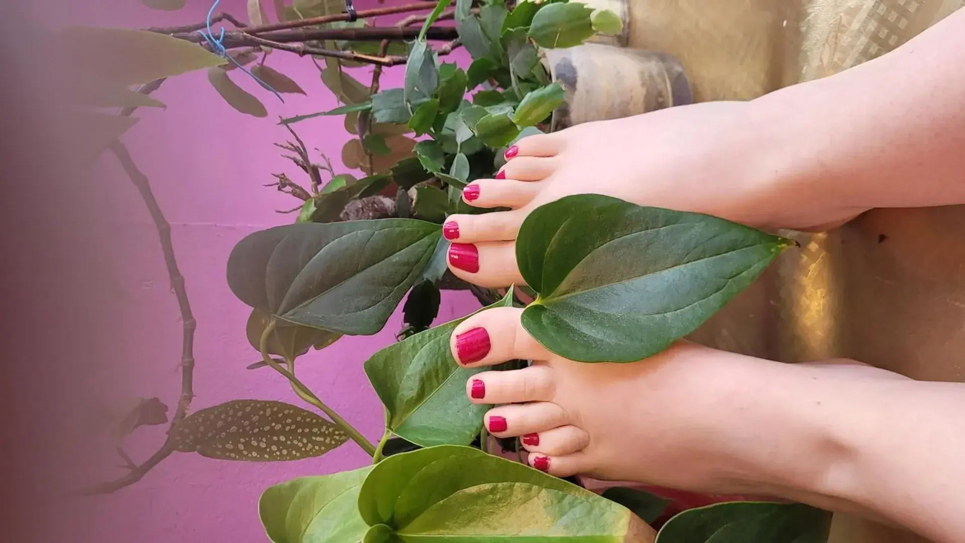 Photo de couverture de Fetishfeet-littlepumpkin