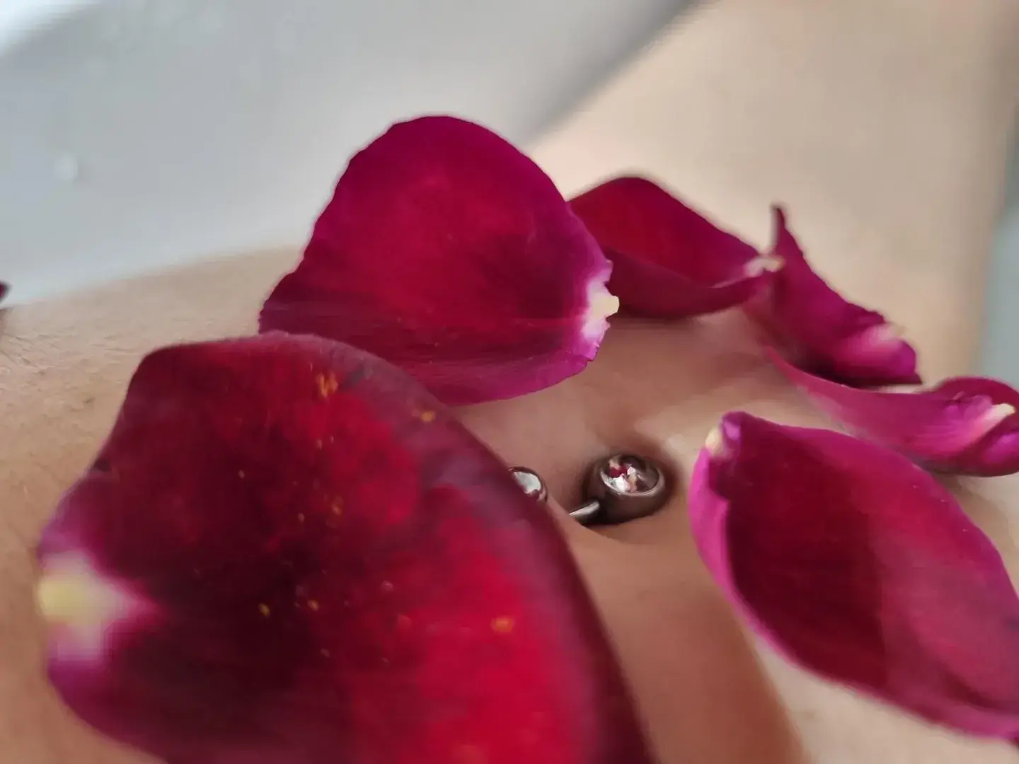 Photo de couverture de _lily-rose_6