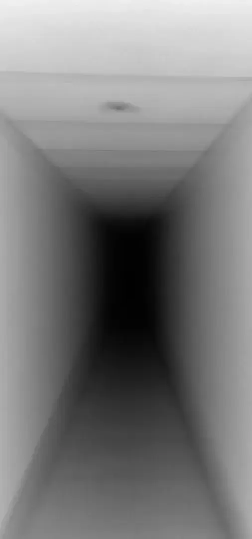 Photo de couverture de Walczak