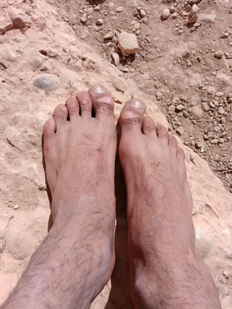 Avatar de Mowgliefeet