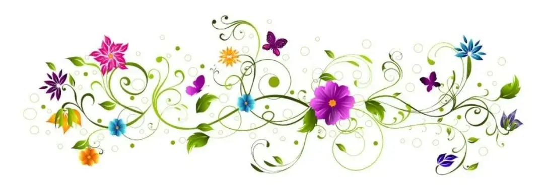 Photo de couverture de Loulilop