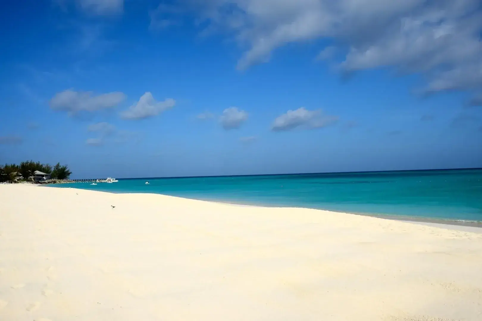 Photo de couverture de Abrilatina