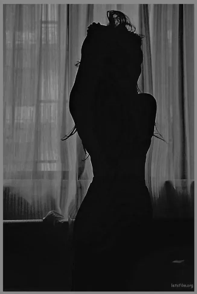 Photo de couverture de Hornycats