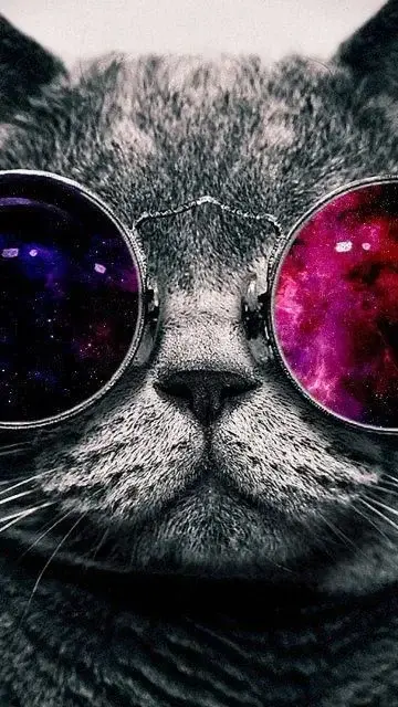 Photo de couverture de Ritardz