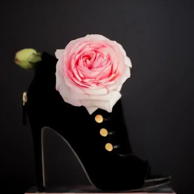 Avatar de Heelsmademoiselle