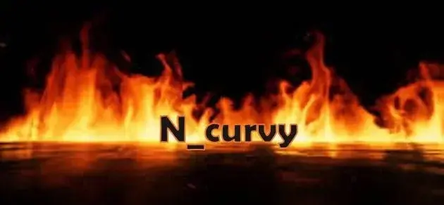 Photo de couverture de N_curvy