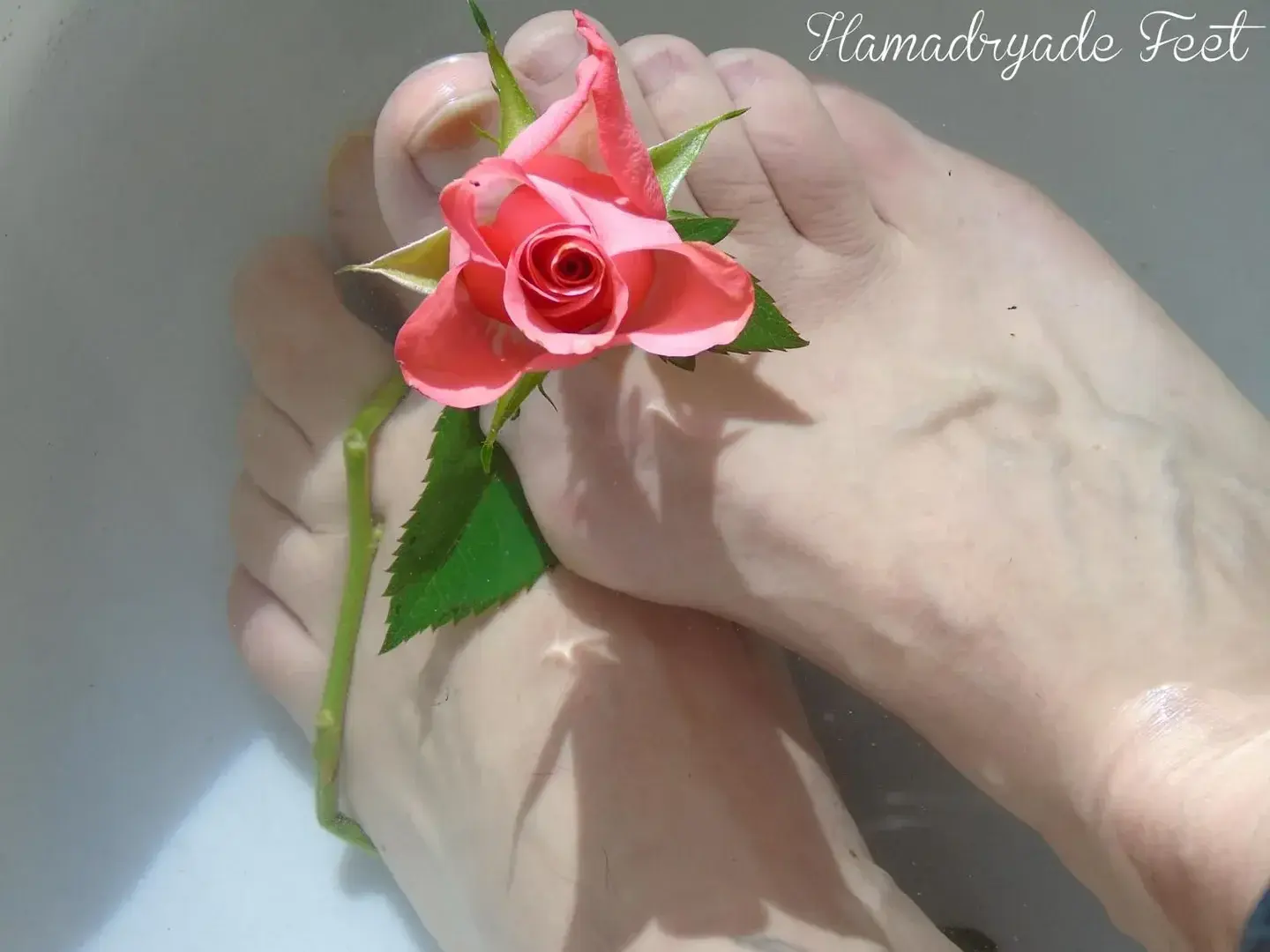 Avatar de Hamadryade_feet