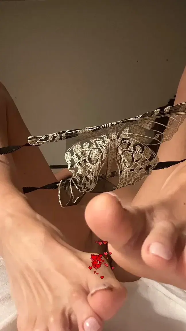 Je te présente Calypso... pour les amateurs de papillon... 💜