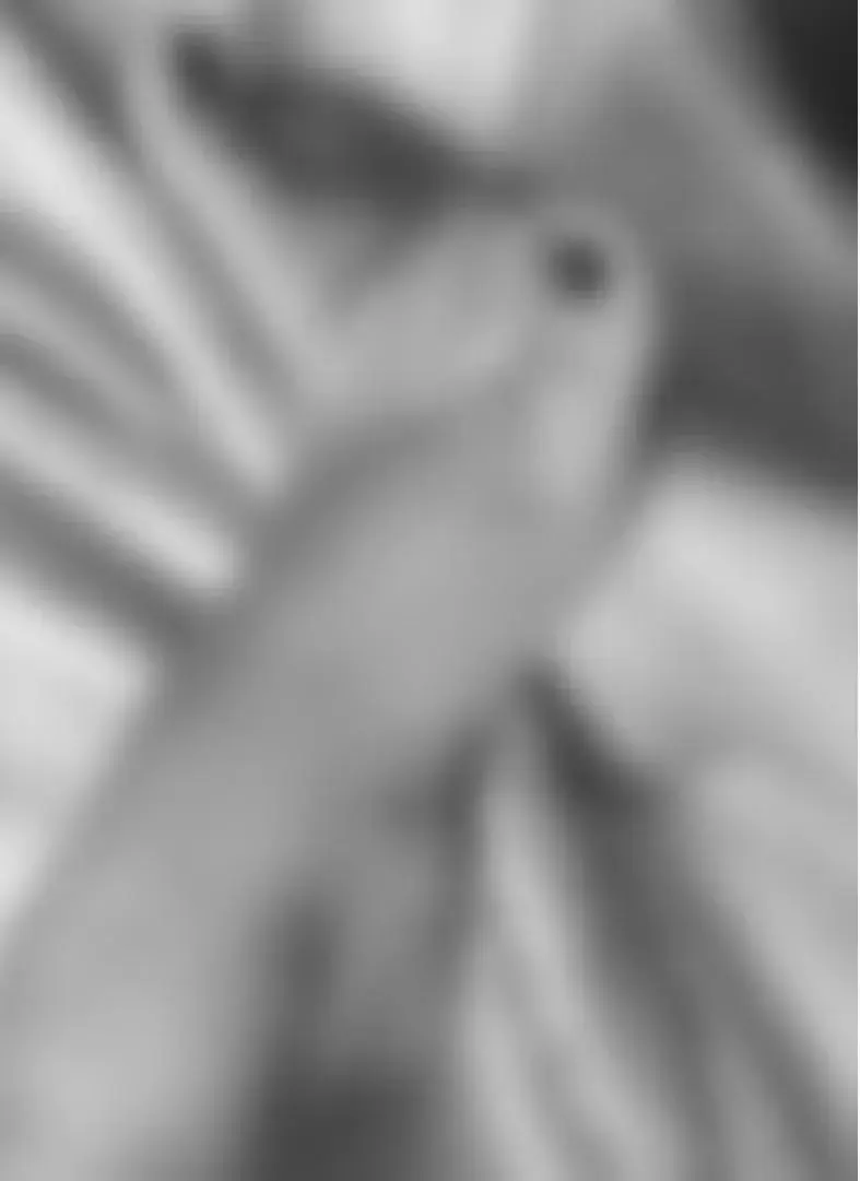 Avatar de Pieddesiles70