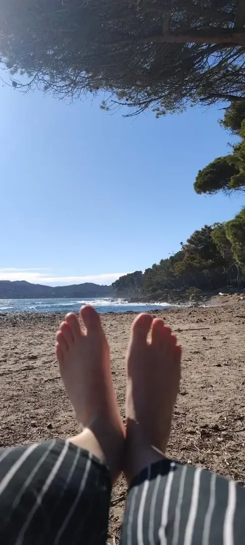 Avatar de Chipieds