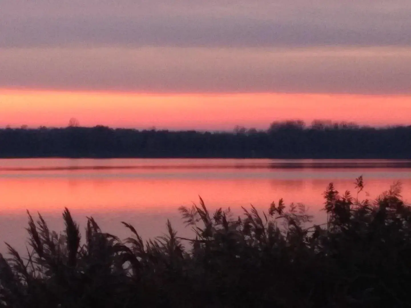 Photo de couverture de Lananasss