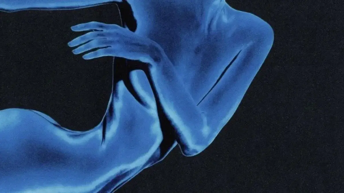 Photo de couverture de Bluehyena
