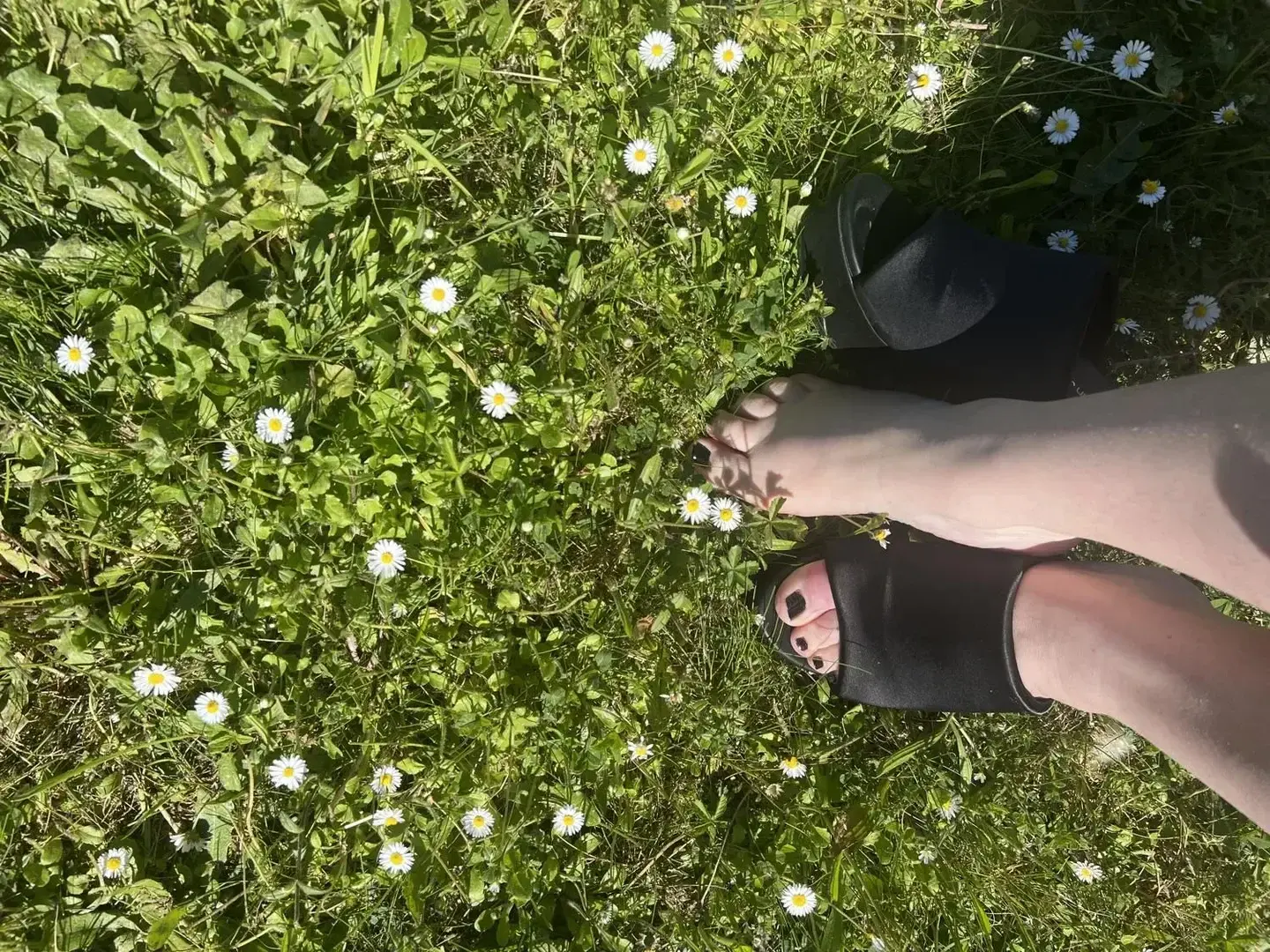 Photo de couverture de Lilysexxy
