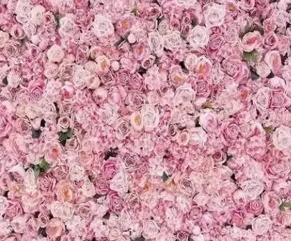 Photo de couverture de Reinesophie2