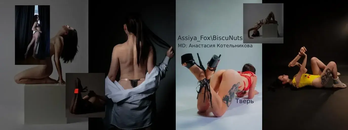 Photo de couverture de Biscunuts