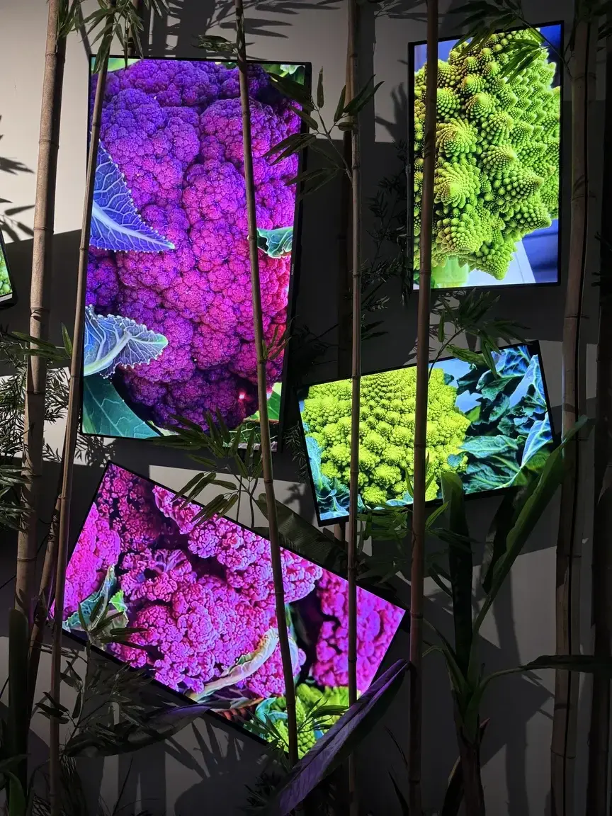 Attends ! arrête toi 🚨 Mon abonnement est gratuit hihi