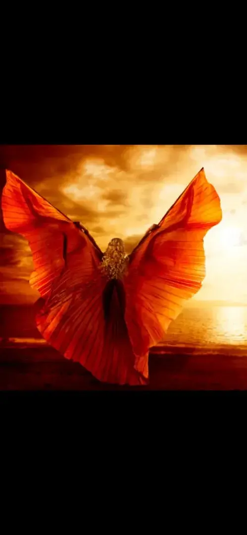 Photo de couverture de Ailedepapillon