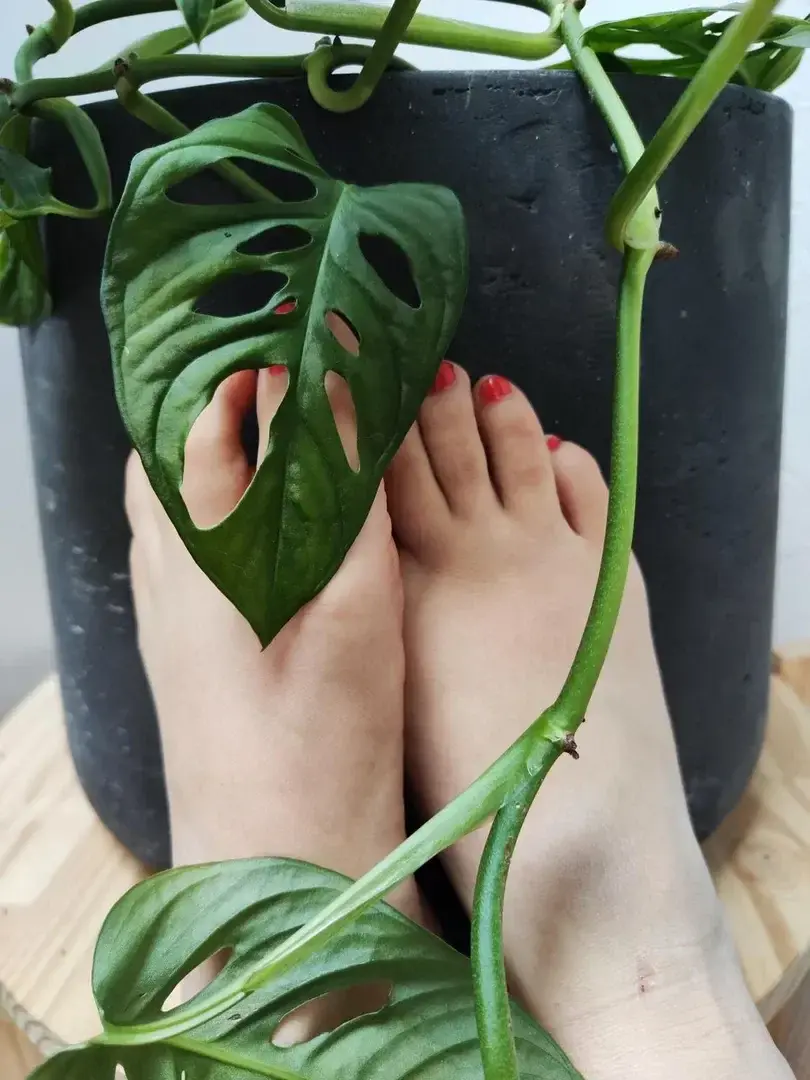 Photo de couverture de Dirtyfrenchfeetlovers