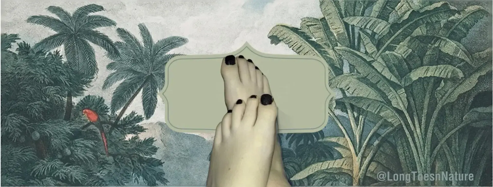 Photo de couverture de Longtoesnnature