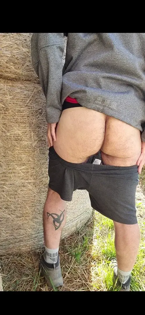 Bears_guy80 — média 1 | French Modèles