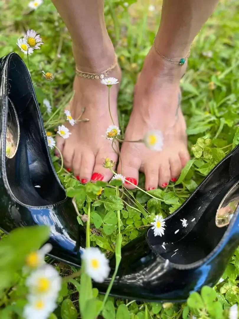 Avatar de Lapetiteprovencale