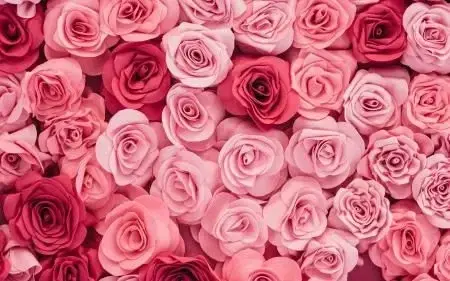 Photo de couverture de Marie_vsn06_off