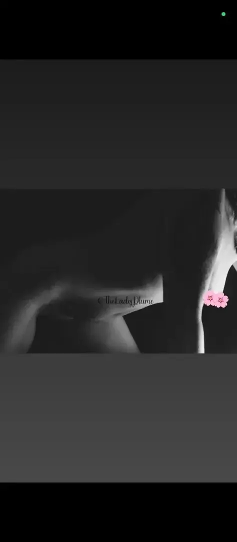 Photo de couverture de Theladyplume