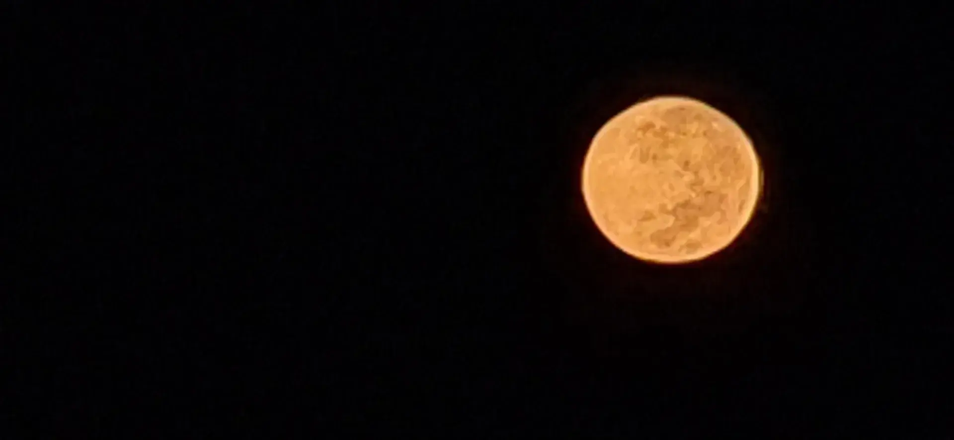 Photo de couverture de Fluffymoon
