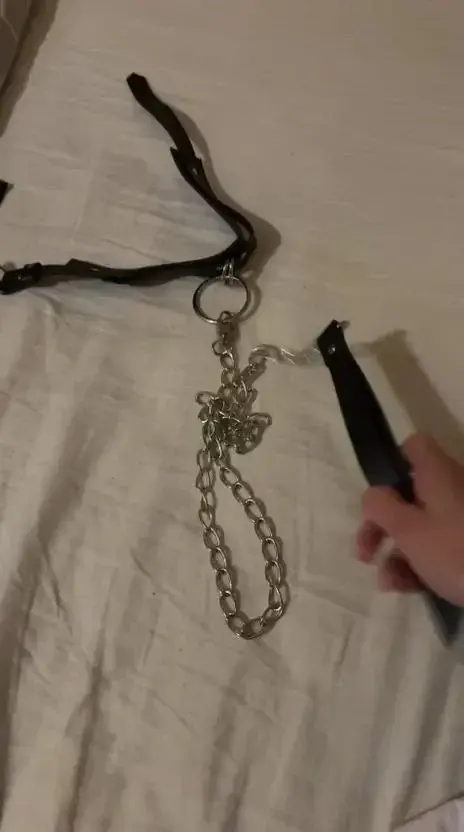 Qui veux venir me tenir en laisse ?