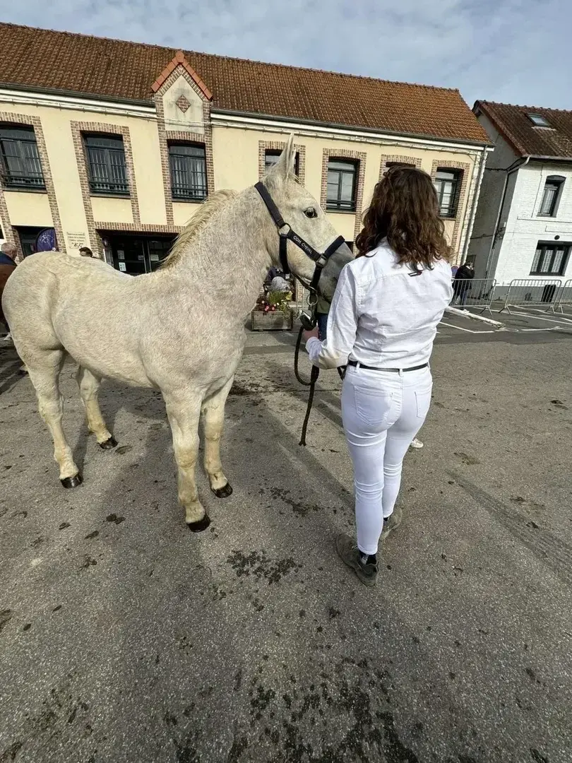 Leak public de Lagricultrice_mym_fans_ — « description de la photo » (nude) sur MYM