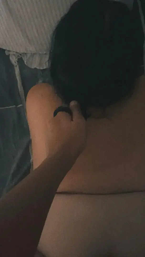 Avatar de Lesinconnitaas