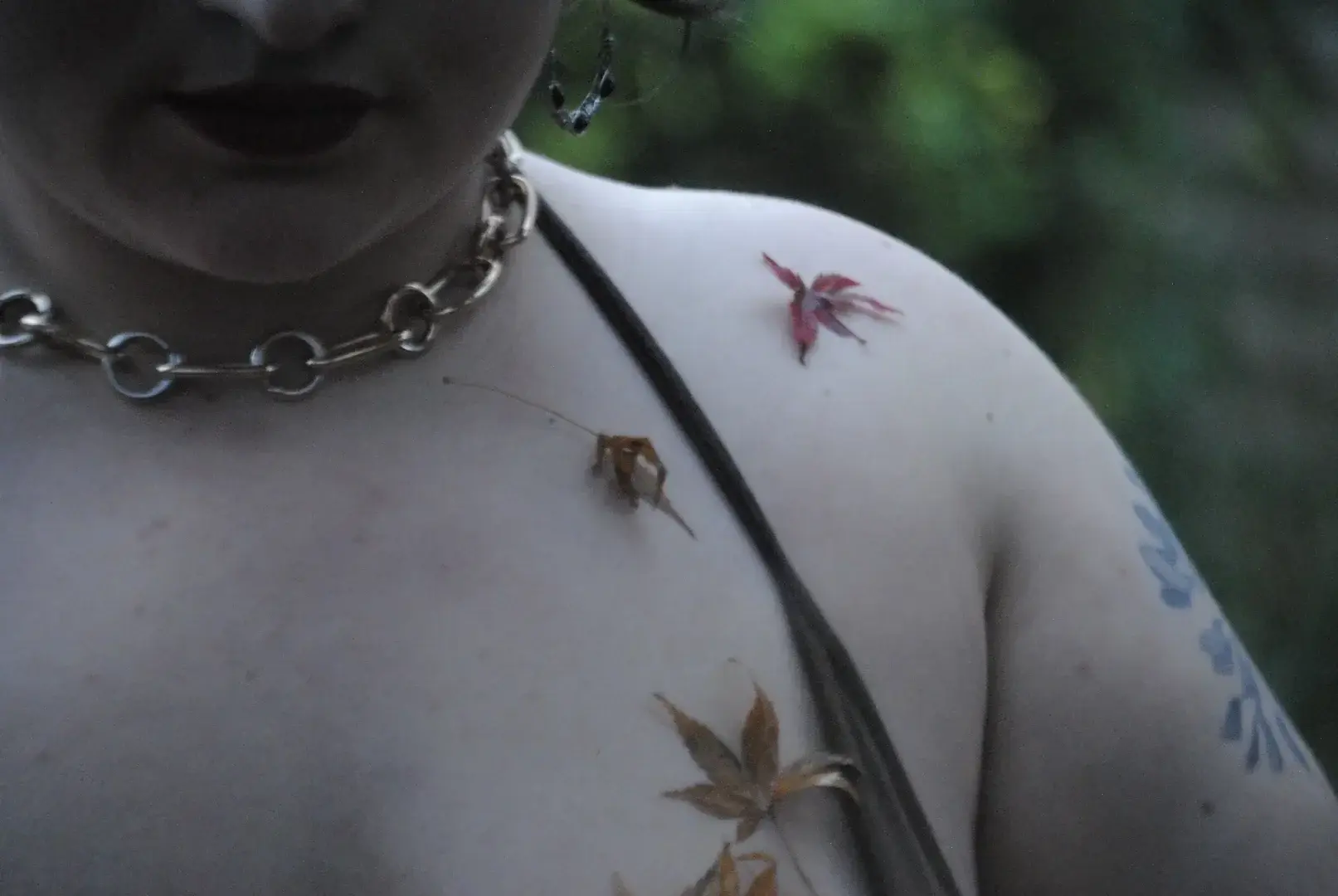 Photo de couverture de Dwhorekin