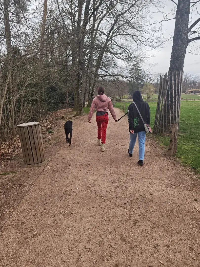 Leak & nude MYM — Dameluciferia : « Ballade au parc cet après-midi ... parfait pour une petite humiliation publique 😈⛓️ » (MYM)