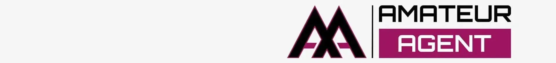 Photo de couverture de Amateuragent