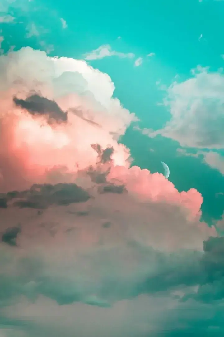 Photo de couverture de Theflyingass