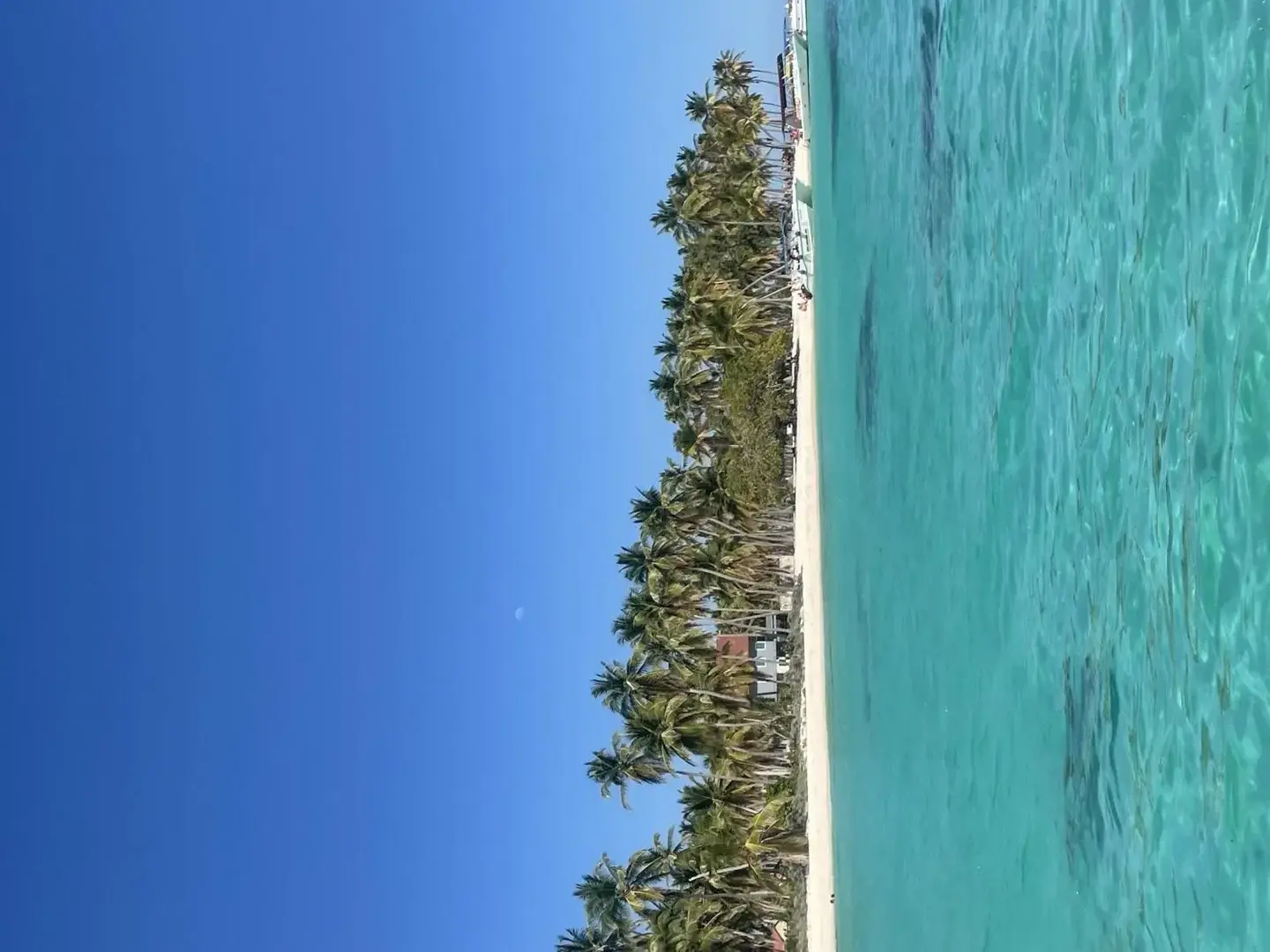 Photo de couverture de Jujuwandder