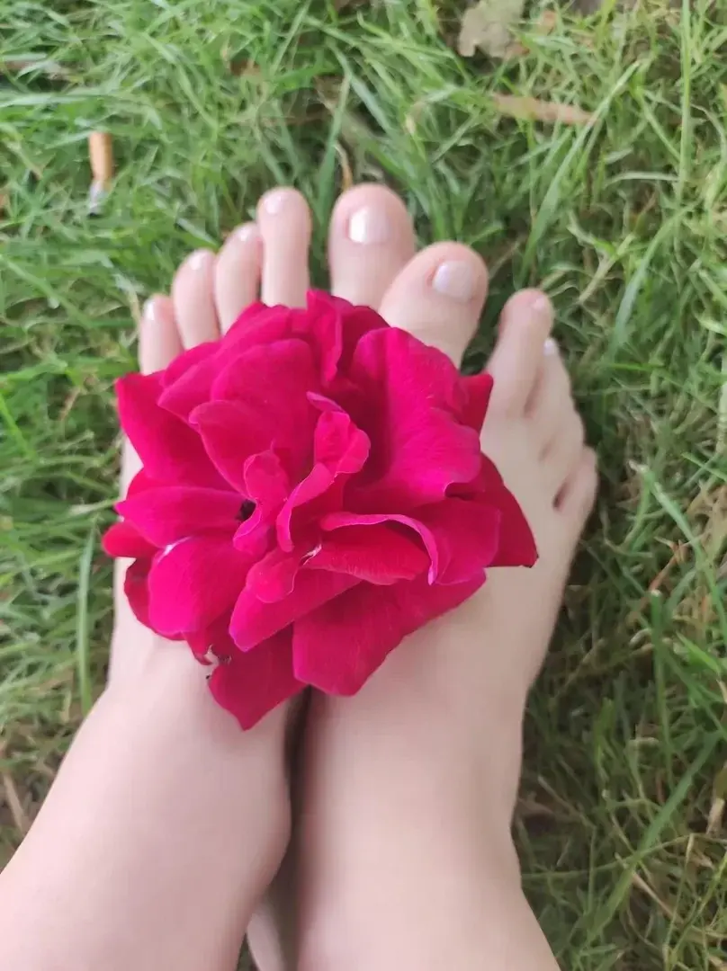 Avatar de Pieds-femme-glamour