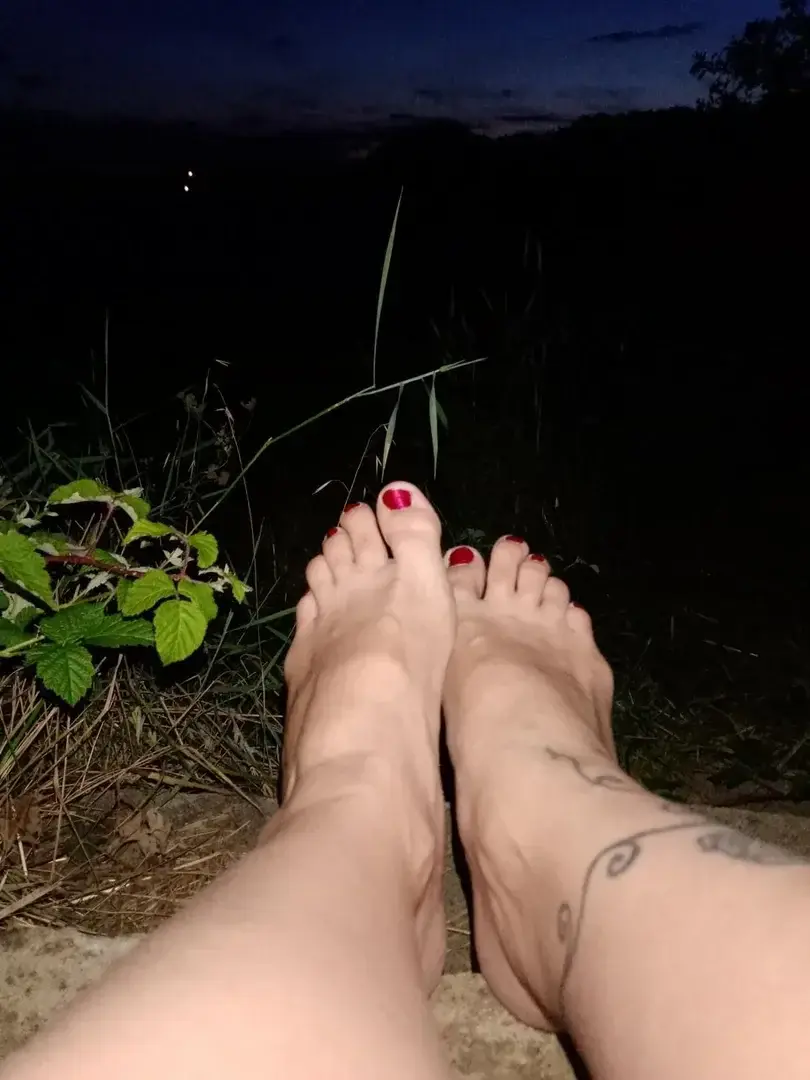 Belle nuit
