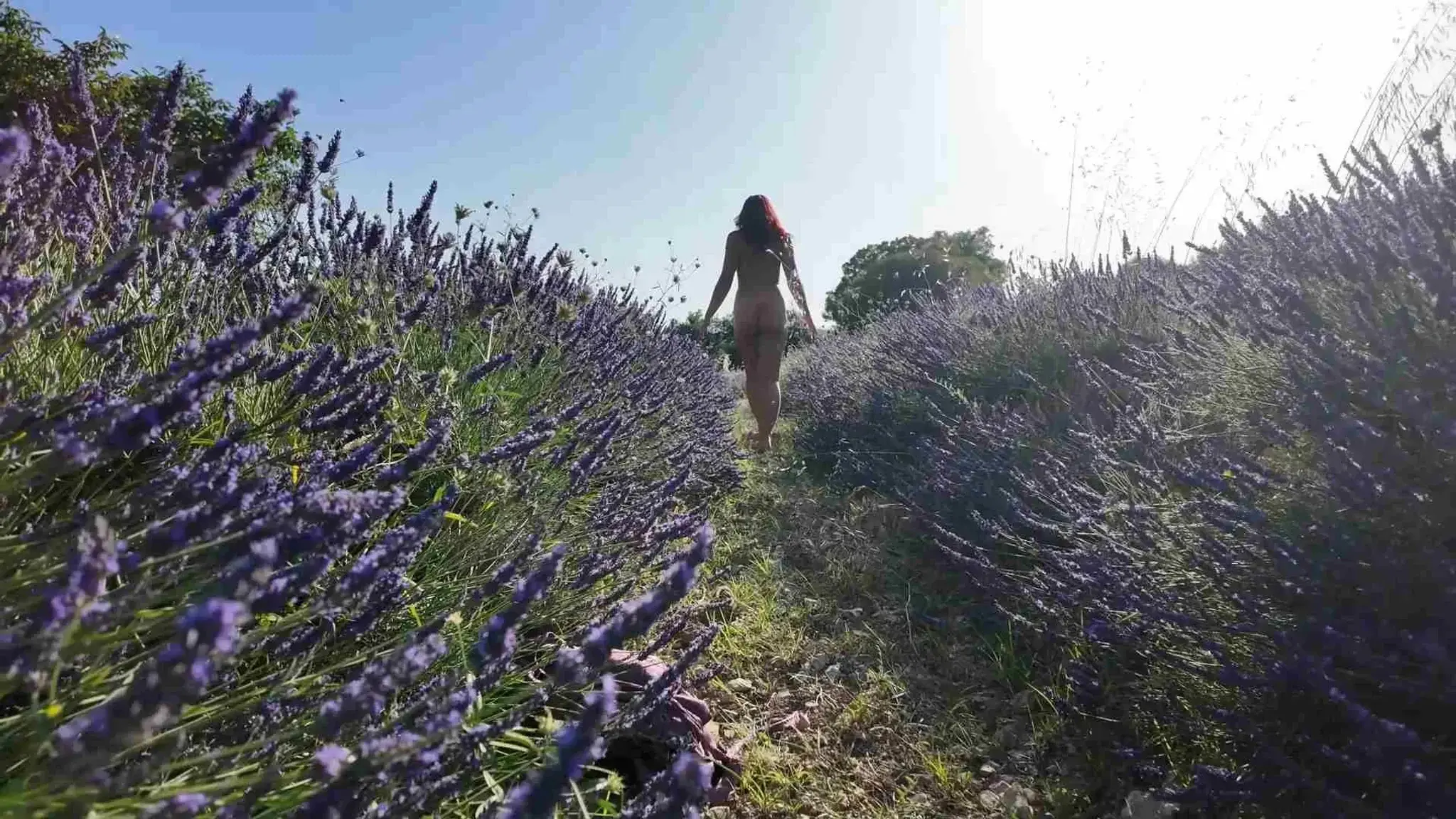promenons nous dans les champs...