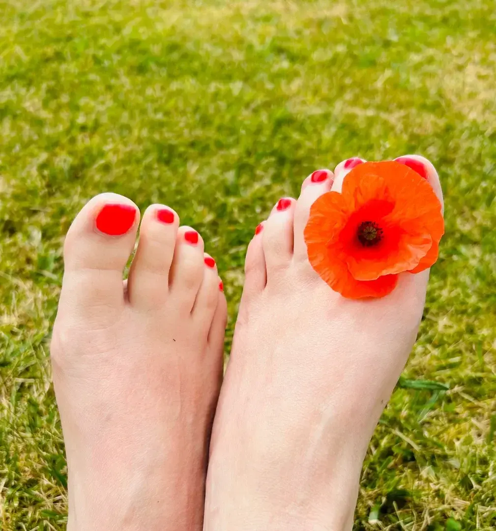 Un brin de vacance et de coquelicot 👣
